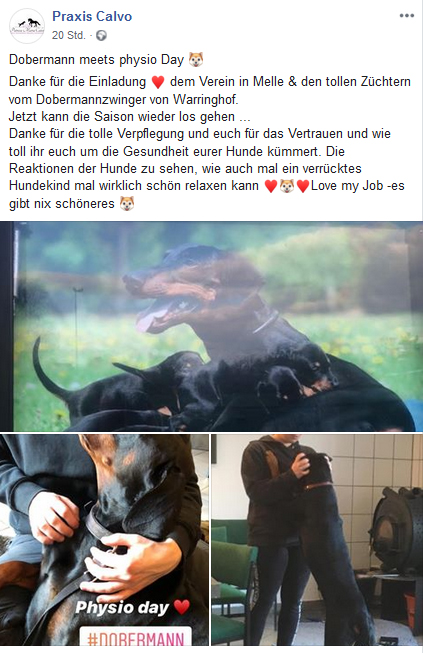 Dobermann